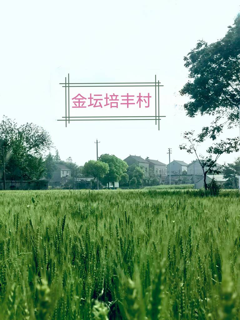 金坛培丰村