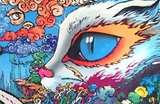 贝伦斯精品案例