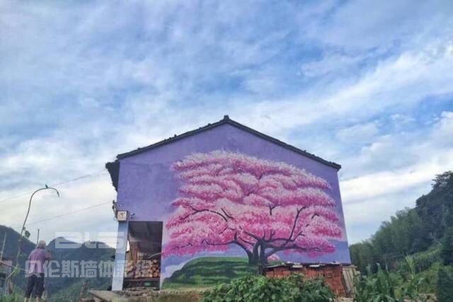 美丽磐安：美丽乡村墙绘 山野惊艳绽放